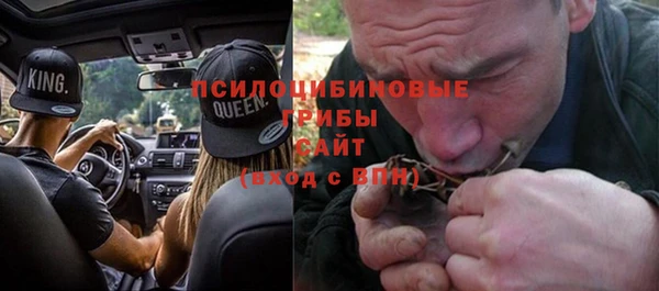дживик Алексин