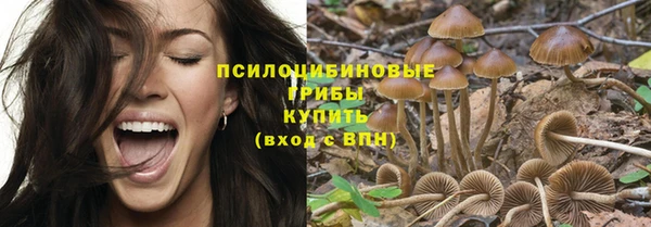 спайс Абдулино